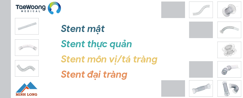 Công ty Cổ phần Kỹ thuật Minh Long